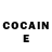 Cocaine Fish Scale Aleksandr Zdobnikov