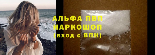 spice Белокуриха