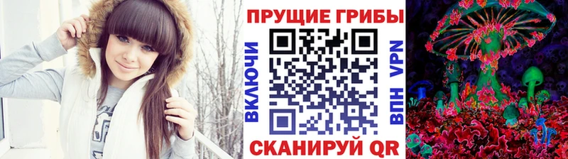 купить наркоту  Павловск  Псилоцибиновые грибы GOLDEN TEACHER 